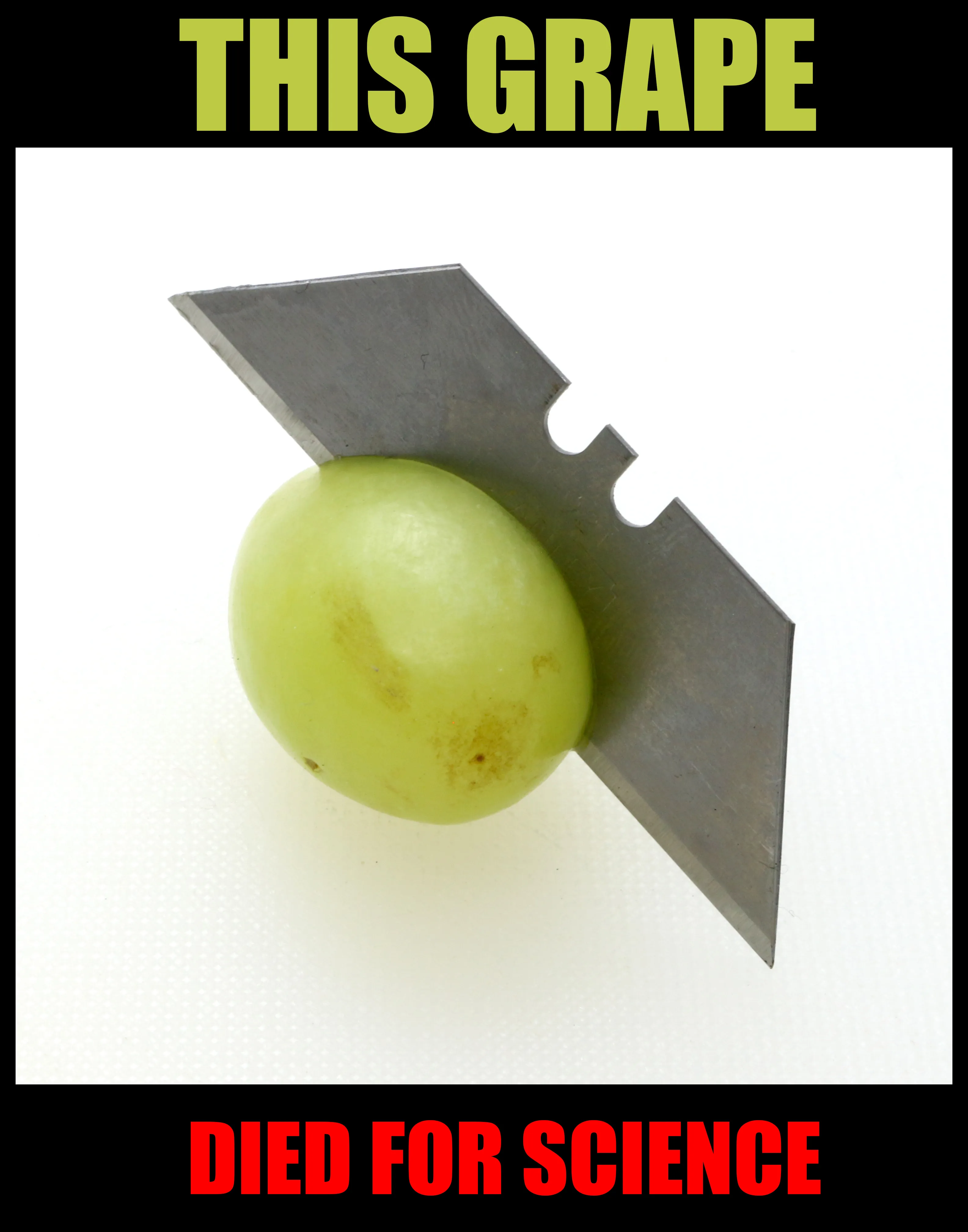 A meme image captioned about a grape that died for science, made by Joseph Dattilo and his son.