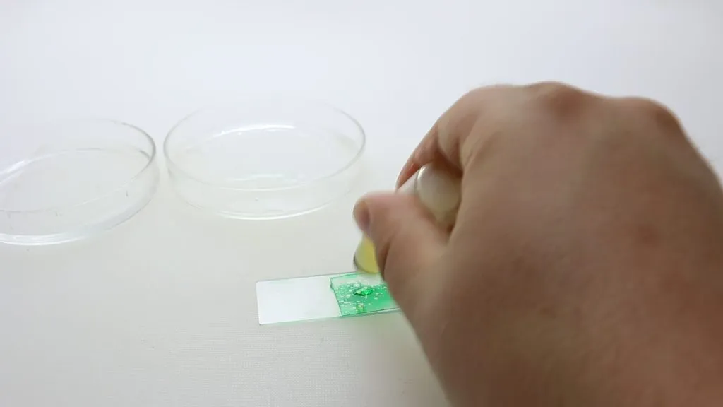 Adding immersion oil to booger slide