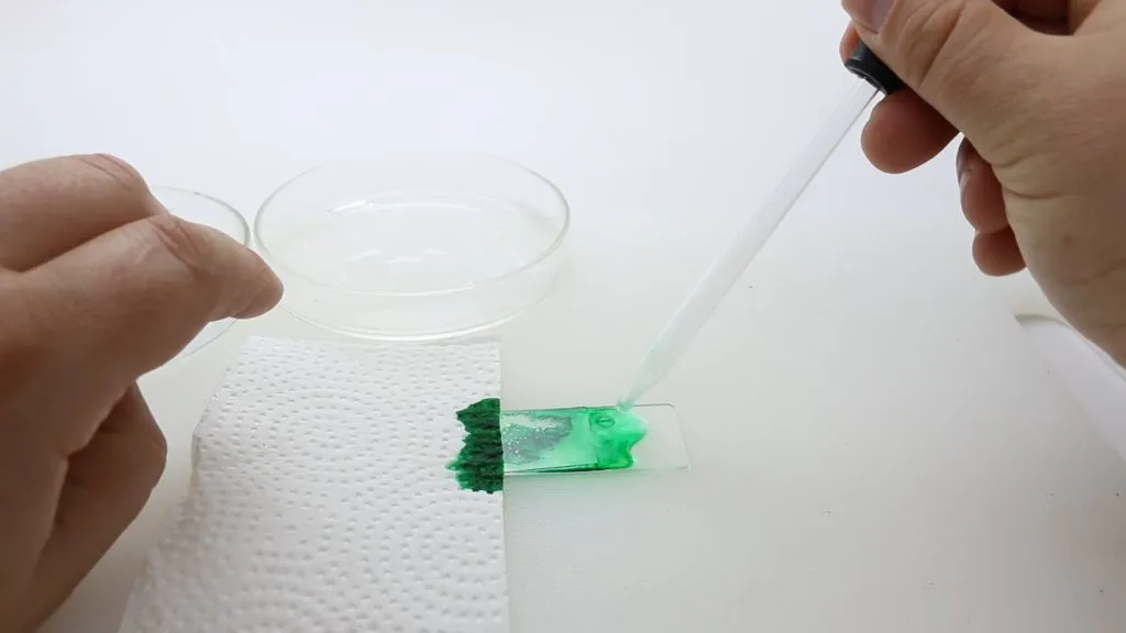 Wet mount cleanup on booger slide